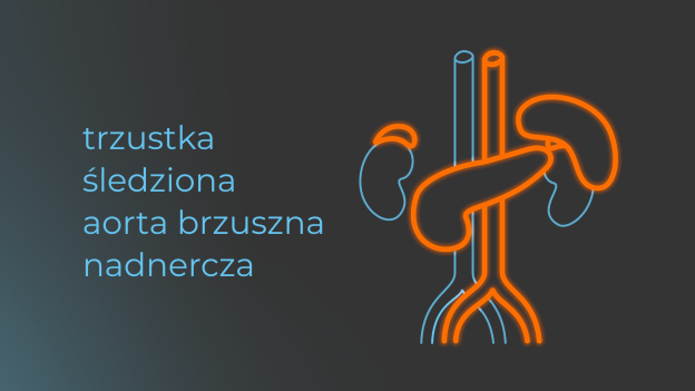 okładka kursu usg jamy brzusznej moduł 3