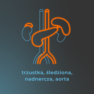usg jamy brzusznej - trzustka, śledziona, nadnercza, aorta